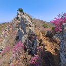 제580차 전남도 강진 주작산 암능 과 진달래산행 (4월 1일) 안내 이미지