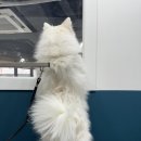 환해지개 이미지