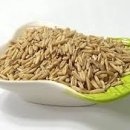 호야 휘트니스 이미지