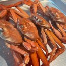 제이엠목장 이미지