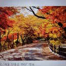고덕 연결녹지 이미지
