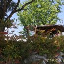 영주농장 이미지