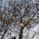 산책 북스테이 이미지