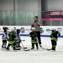 TOP 태권도 유소년 스포츠 클럽 | 서울어린이아이스하키 찾는다면? 노원아이스하키 명문 광운 타이거샥스 아이스하키