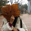 봉림평생교육센터 이미지