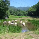 문경 운달산( 雲達山) / 운달계곡 산행기 ( 우정 산악회 ) 이미지