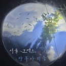 [서울/코엑스] 하늘을 나는 물고기를 보고 싶다면 : 코엑스 아쿠아리움