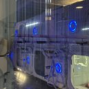 라성보석사우나 이미지