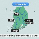 주식회사BDC 네이버블로그