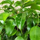 상남동279 이미지