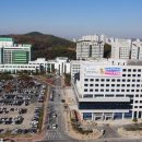부여김안과 머니투데이