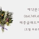 살롱드누보 네이버블로그