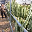 오산농원영농조합법인 뉴시스