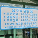 옐로우동물병원 이미지