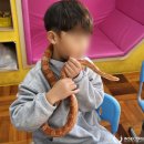 신덕어린이집 이미지