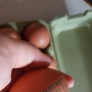 건강을 배달하는 사람들 두부와 계란이 가득해서 밥상이 풍요로웠어요~