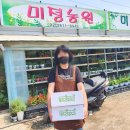 미정농원