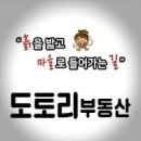 제주꽃도니 이미지