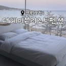 더 헤이븐 펜션 A동 | 힐링 가득한 오션뷰 숙소, 포항 숙소 <더헤이븐리조트펜션> 솔직후기