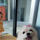 까꿍미용실 이미지