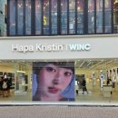 윙크렌즈스토어 머니투데이