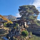 함안 용산리 함안층 새발자국화석 산지 | 함안 한바퀴-무산사,용산리백악기새발자국화석산지,칠원향교,무기연당,영동리회화나무,덕연서원,유원리...