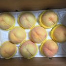 🍑 8/9과 대특과 장호원황도 추석 선물용 - 선물전용 박스 포장 이미지