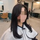테드헤어 이미지