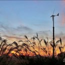 하늘공원 이미지