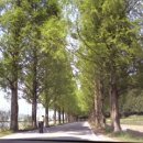 그린파크텔 이미지