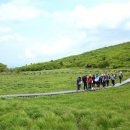 선기로2-7 이미지