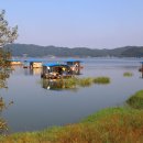 신장리사과체험마을 이미지