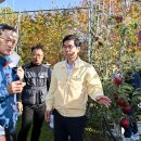 복닥복닥 이미지