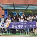 한국수영협회