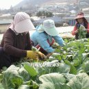돌산 이미지