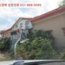 포항시북구91 네이버블로그