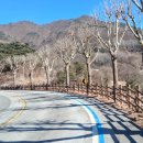 시외버스터미널 버스정류장 이미지