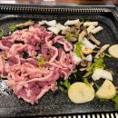 황금생오리 이미지