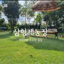 삼돈농장 이미지
