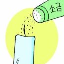 심지 이미지