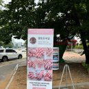 [수원&amp;병점 블링유네일] 네일아트 잘하는 곳, 이달의 아트 후기