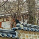 문 - 하남시 미사강변중앙로 174 | 문