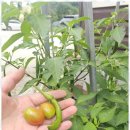 향기심리코칭 이미지