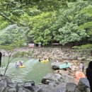 남창감나무집 이미지