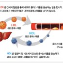 어퍼모스트 이미지