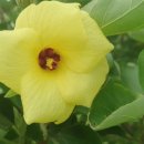 바닷가돌빌레 이미지