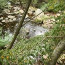 단풍나무펜션 이미지