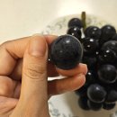 [김천 경산 거봉 - 보투아몽드]씨 없고 맛있는 거봉 주문 후기