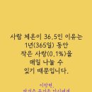 장터삼겹살 이미지