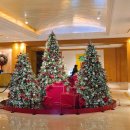 은은통신 | [방통위 2030자문단]✨2025 방송미디어통신위원회 방송대상, 현장 스케치